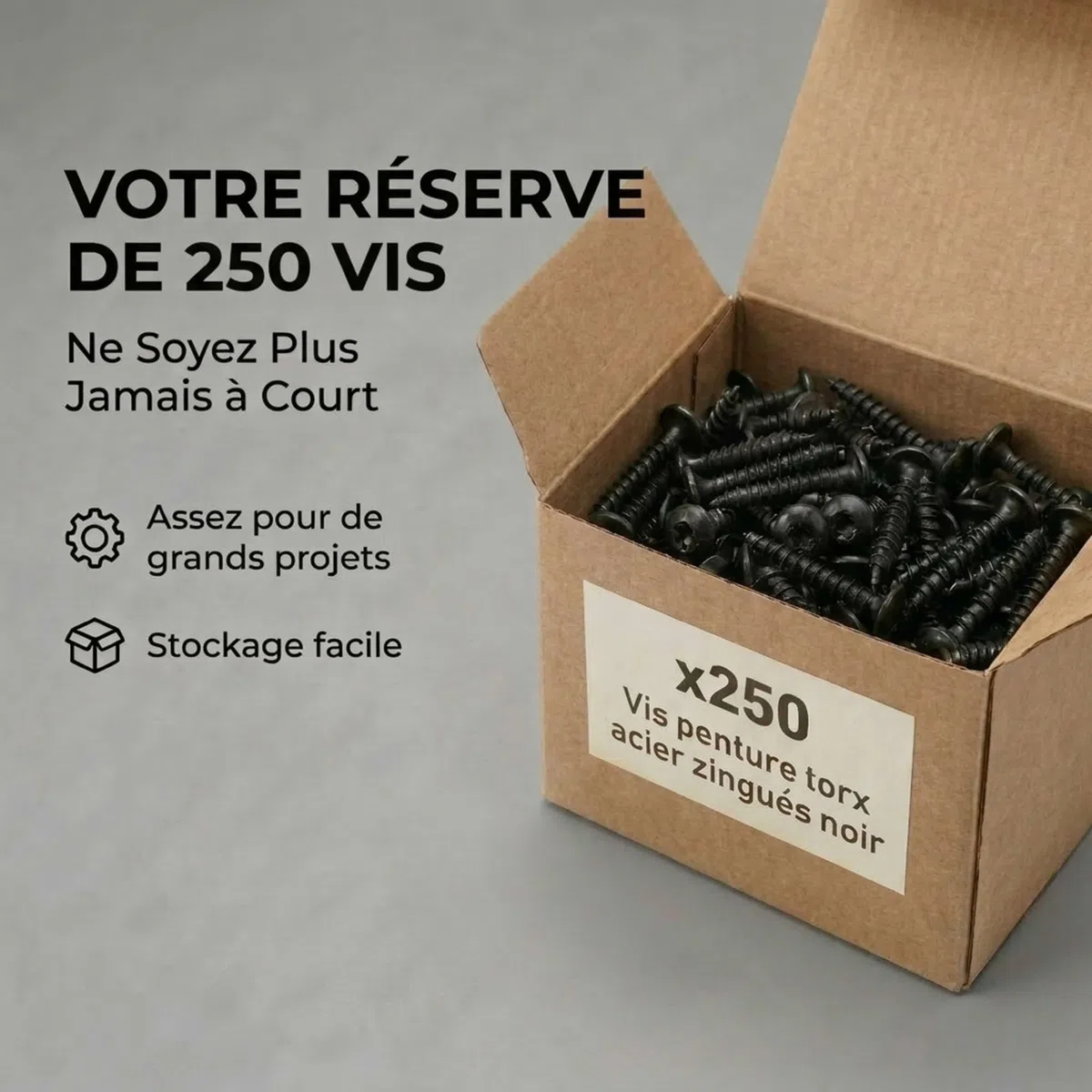 250 Vis Penture Torx acier zingués Noir 6,0 mm - diamètre 6 mm - Longueur 20 mm