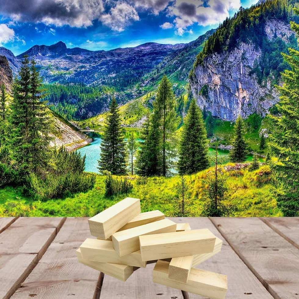 Sculpture De Bois, Fycooler 14PCS Blocs Sculpture En Bois Couleur Naturelle, Tilleul, Résistant à L'Usure - 10x2.5x2.5cm