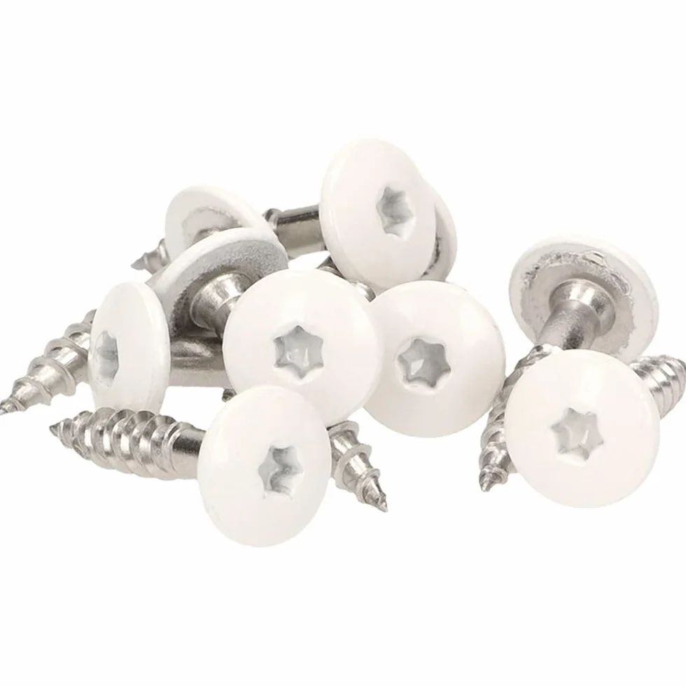 Lot de 100 vis de façade en acier inoxydable V4a Inox, avec tête plate colorée thermolaquée et empreinte Torx T 20 + 1 embout, blanc, blanc