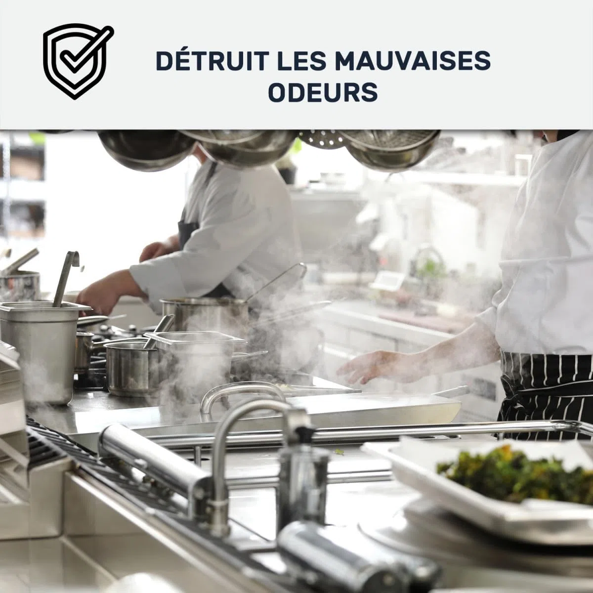 ARCANE INDUSTRIES Peinture cusine lessivable Mur et Plafond | Peinture Anti Odeur & pièce Humide | 29 Couleurs Disponibles : Arcadéco Cuisine - 2.5 L Blanc