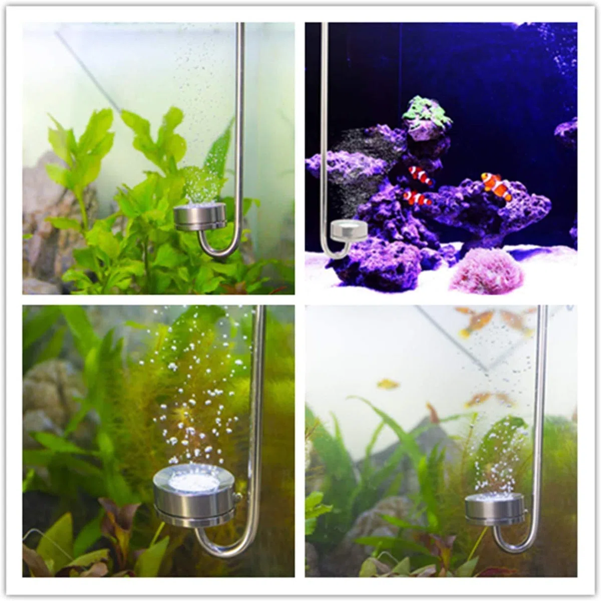 Ejoyous Ensemble d'explorateur CO2 Diffuseur en Acier Inoxydable, dioxyde de Carbone diffuseur CO2 Vessie vessie avec Tube de Connexion en Forme de Une loupe et Une Boussole 300mm