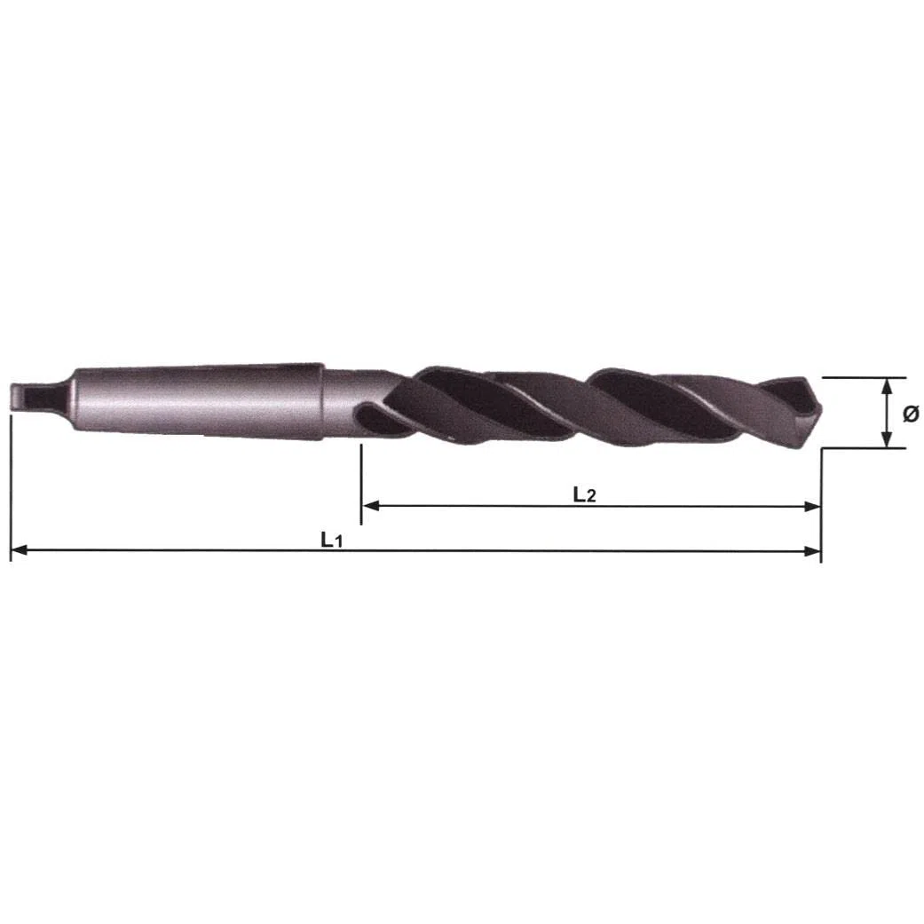FORETS CONE MORSE - conemorse : FORET DE 20.5