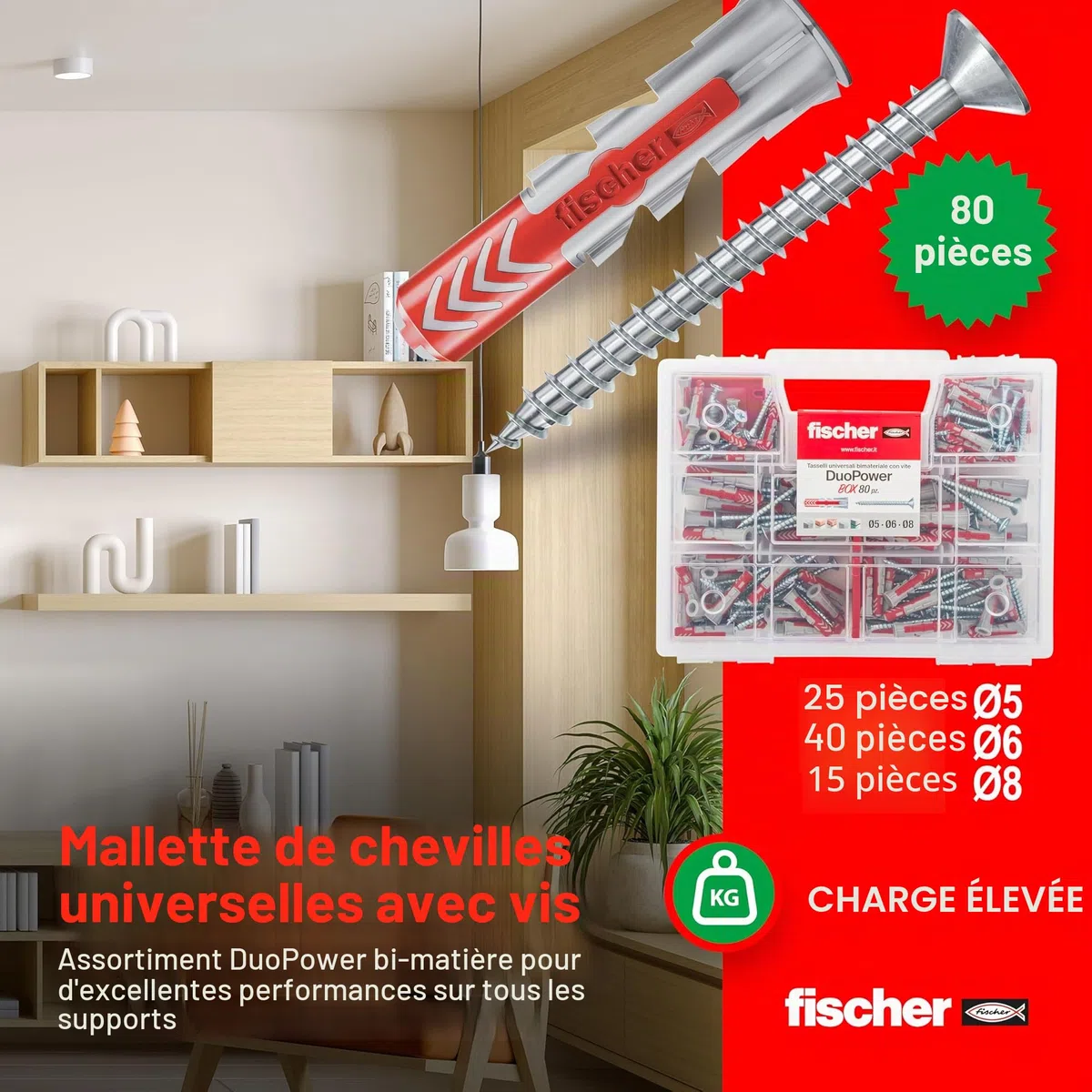 Fischer Kit DUOPOWER Mallette 80 chevilles universelles Duopower avec vis assorties, transparente