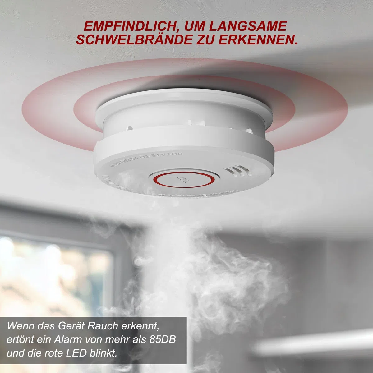 Détecteur de fumée Garantie 10 Ans Alarme Incendie Batterie 9V remplaçable détecteur de fumée avec Certification DIN EN14604 et BSI 4 Cartes