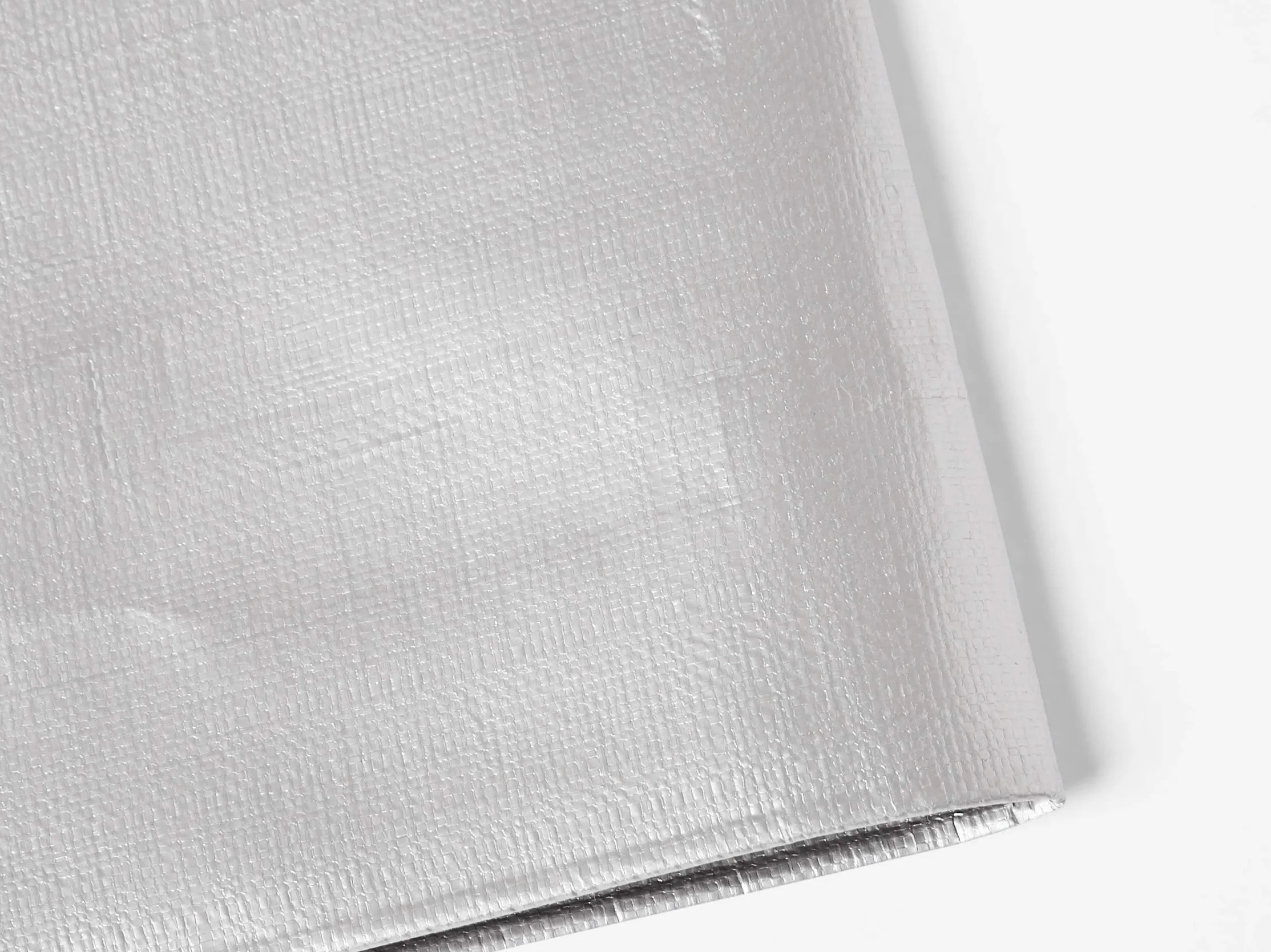 Amazon Basics Imperméable Bâche multi-usage en polyéthylène, 3,6 x 6 m, épaisseur 16 MIL, 6kg, Argenté/Noir, Lot de 1