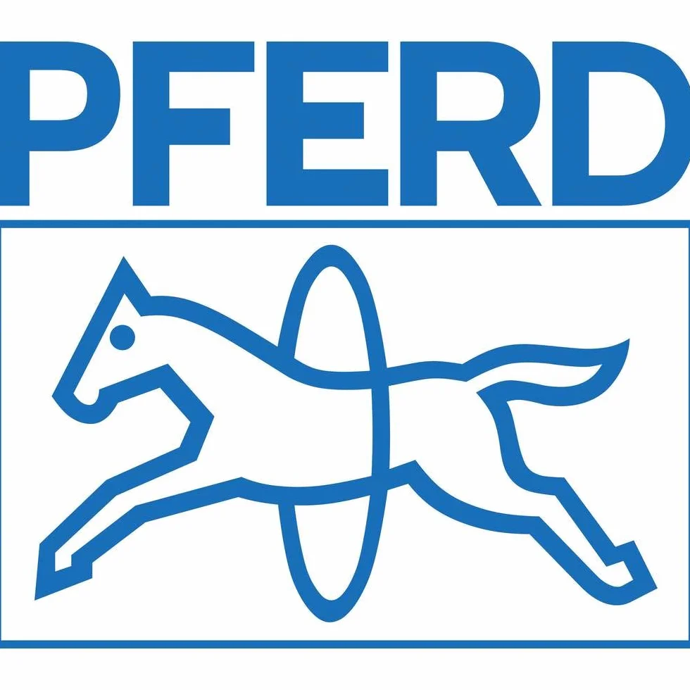 PFERD 44890090 fourniture de ponçage et de meulage rotatif