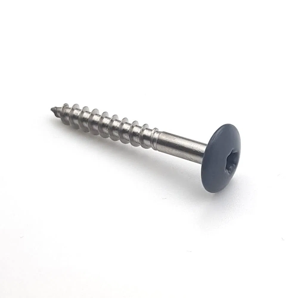Vis pour panneaux de façade 4,8x38 mm RAL 7015 gris ardoise Inox A2 par 50