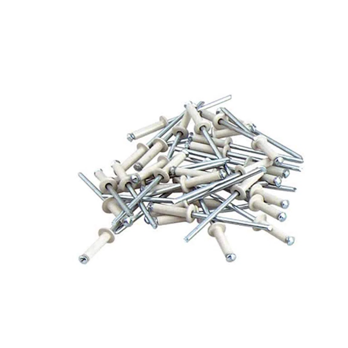 RIVET PLAQUE IMMAT. BLANC 4X16 (X100)