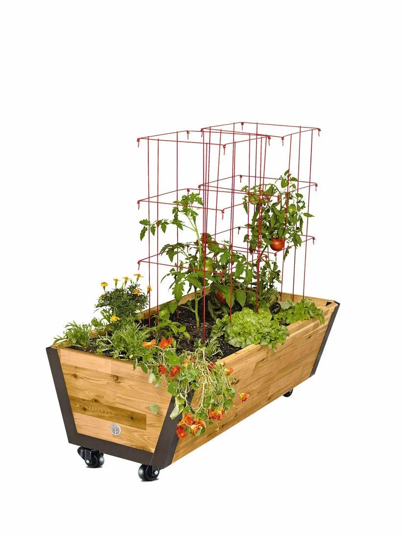 GBL 4 Roulettes Pivotantes Pour Meubles sans Frein + Vis - 50mm Jusqu'à 200KG - Roulette Sans Traces au Sol pour Charge Lourde - Roue en Caoutchouc pour Chariot - Noires