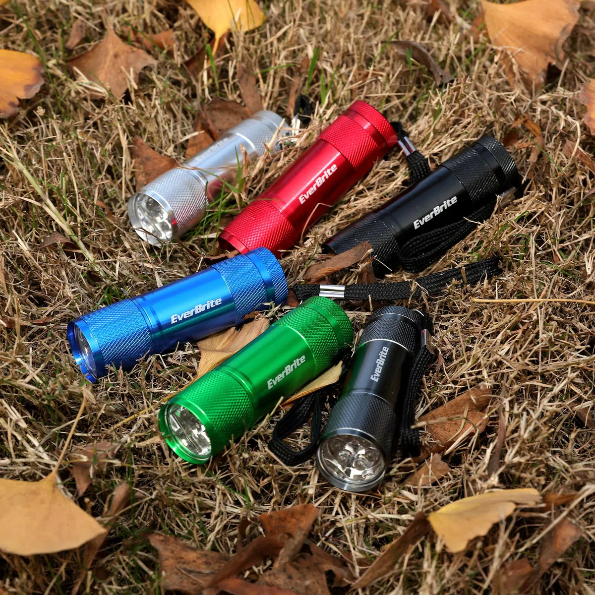EverBrite Mini Lampe de Poche LED en Aluminium18 Pièces, Lampe Torche Portable Idéal pour Camping Lecture Cyclisme Barbecue Fête Randonnée Voyage, 54 x AAA Piles Compris