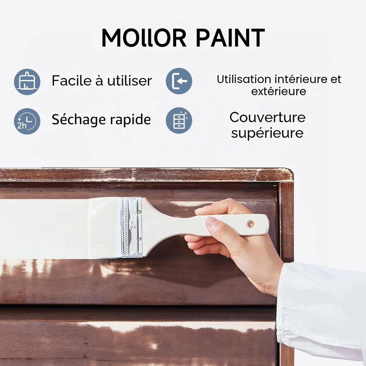 Peinture Meuble Bois | Idéal pour Rénovation de Meubles | Chalk Paint | Ardoise Craie | Peinture Mur Interieur | Mat et Lavable | 1kg Blanc avec des outils