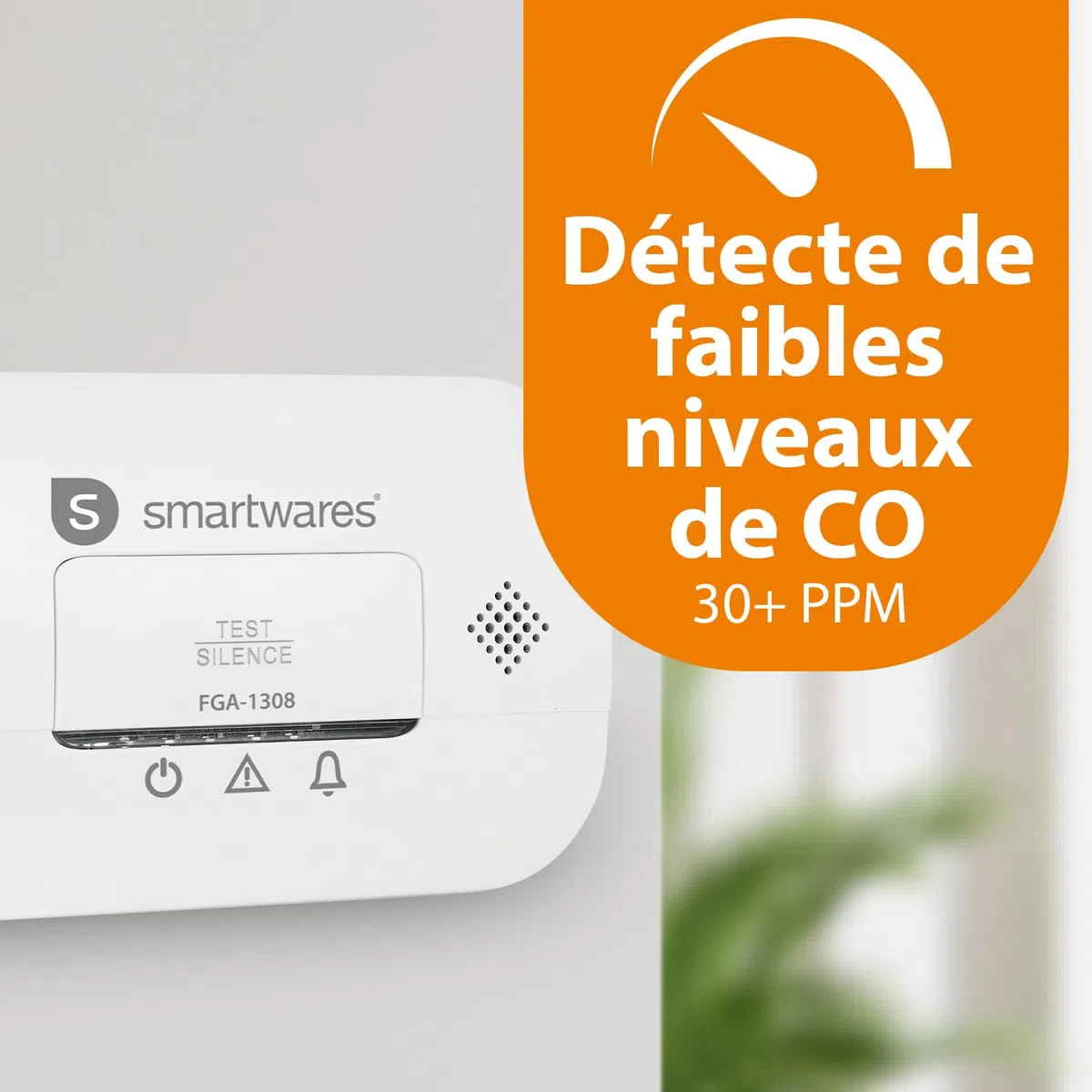 Smartwares Détecteur de monoxyde de Carbone - Certifié NF - Capteur 10 Ans - Piles 3 Ans - avec voyants Lumineux et Bouton de Test - FGA-13081FR