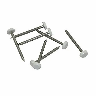 UPVC Lot de 250 clous à tête en plastique pour fascia Blanc 40 mm