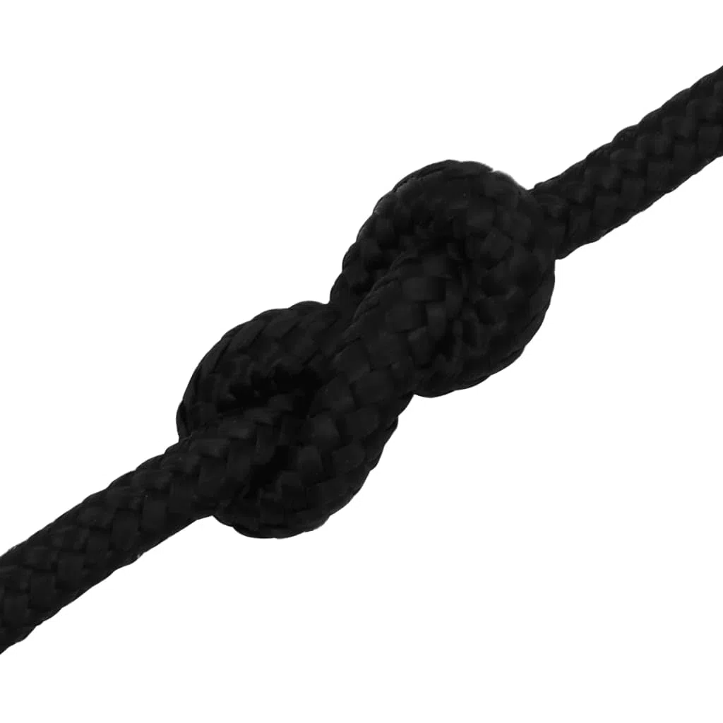 vidaXL Corde de Travail Ligne de Travail Corde Torsadée Corde d'Amarrage Câble de Travail Jardin Atelier Noir 10 mm 50 m Polyester