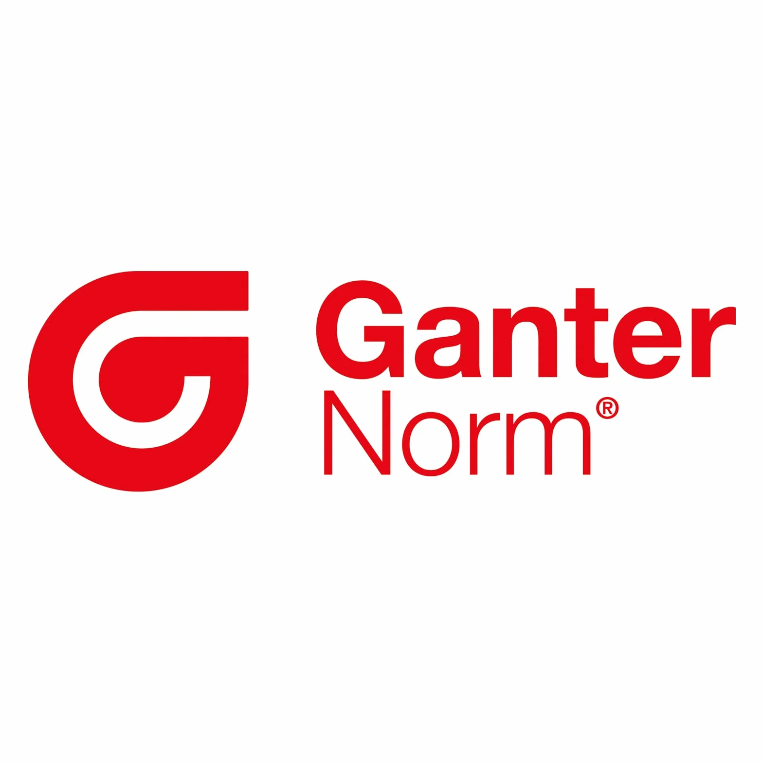 Ganter Normelemente GN 717-10-M16X1 5-CK-ST Lot de 2 boulons de verrouillage Argenté