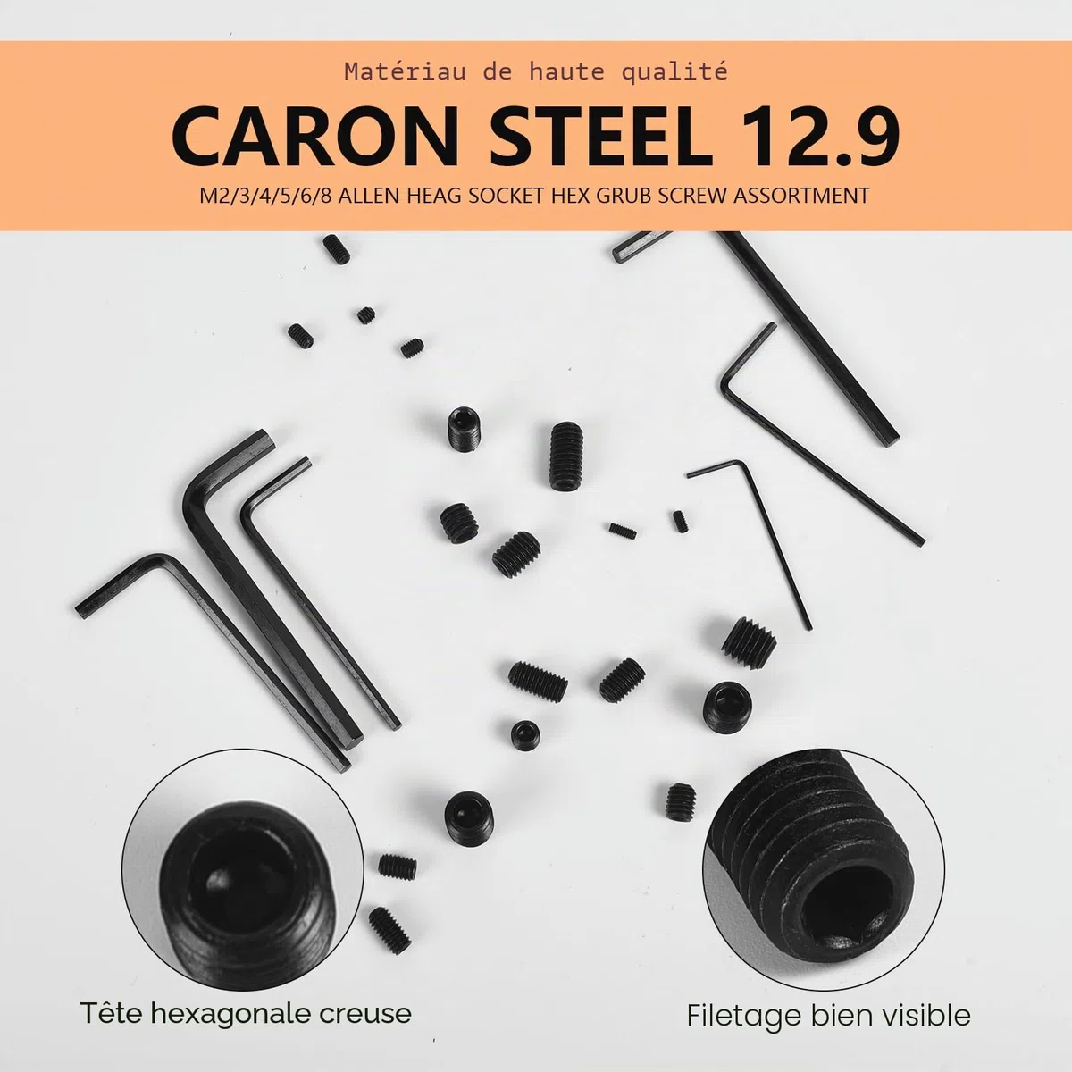 Lot de 666 vis sans tête à six pans creux M2 M3 M4 M5 M6 M8 Vis sans tête à six pans creux Vis vers Allen Acier au carbone Assortiment de vis sans tête avec clé Allen