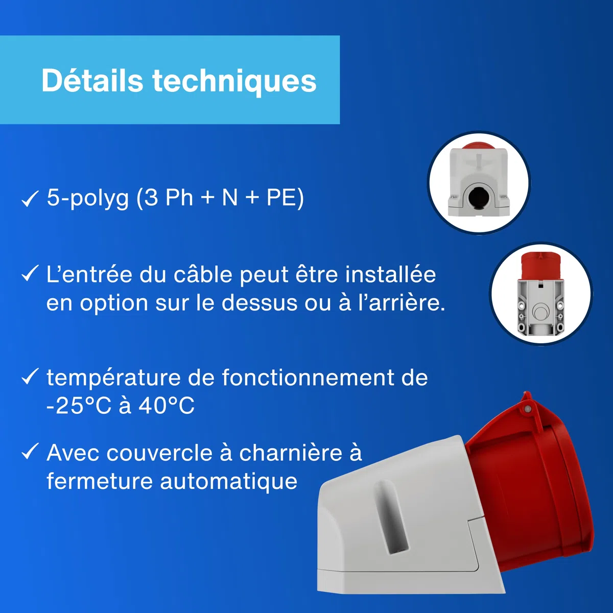 REV Ritter prise IP44 femelle (32 A), 100 x 50 x 50 cm