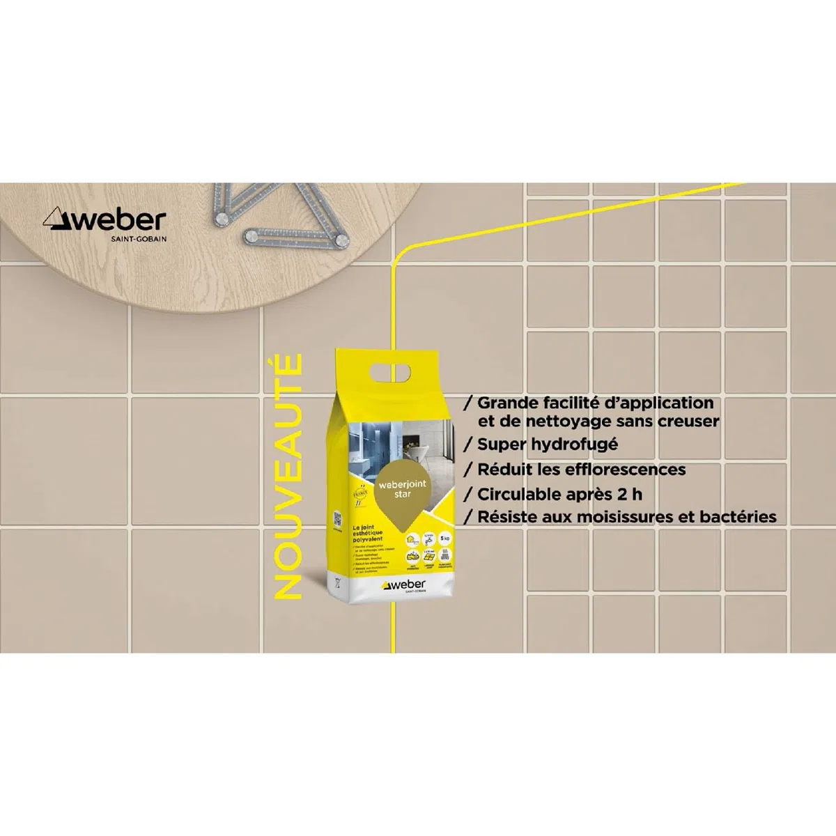 Weber Mortier joint carrelage décoratif hydrofugé, spécial intérieur et extérieur, largeur 2 à 10mm, 5kg, gris ciment, WEBERJOINT STAR