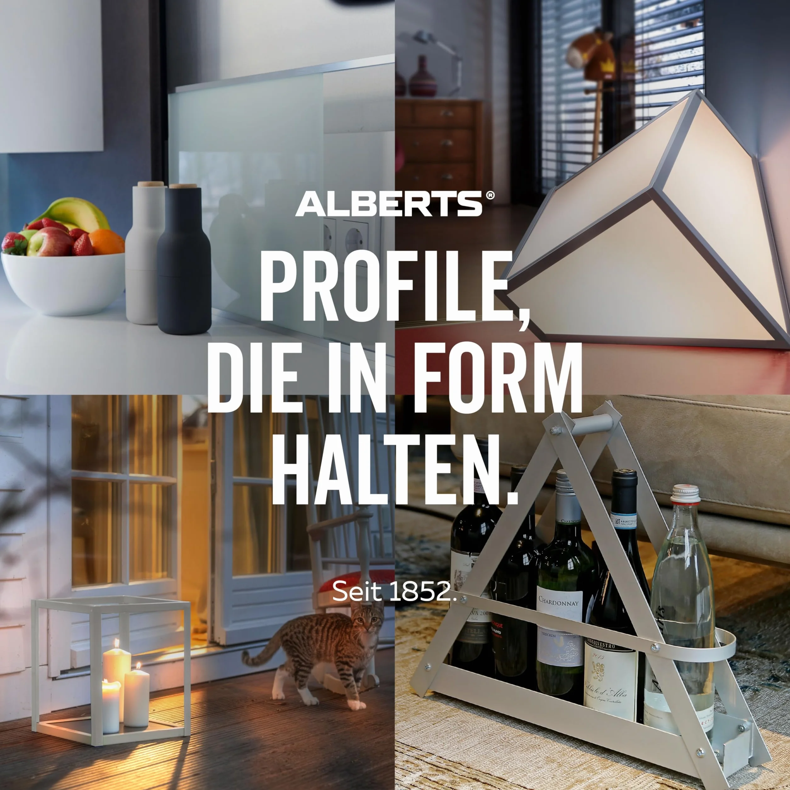 Alberts 479558 Profilé de transition | Aluminium, anodisé couleur argent | 900 x 37,8 mm