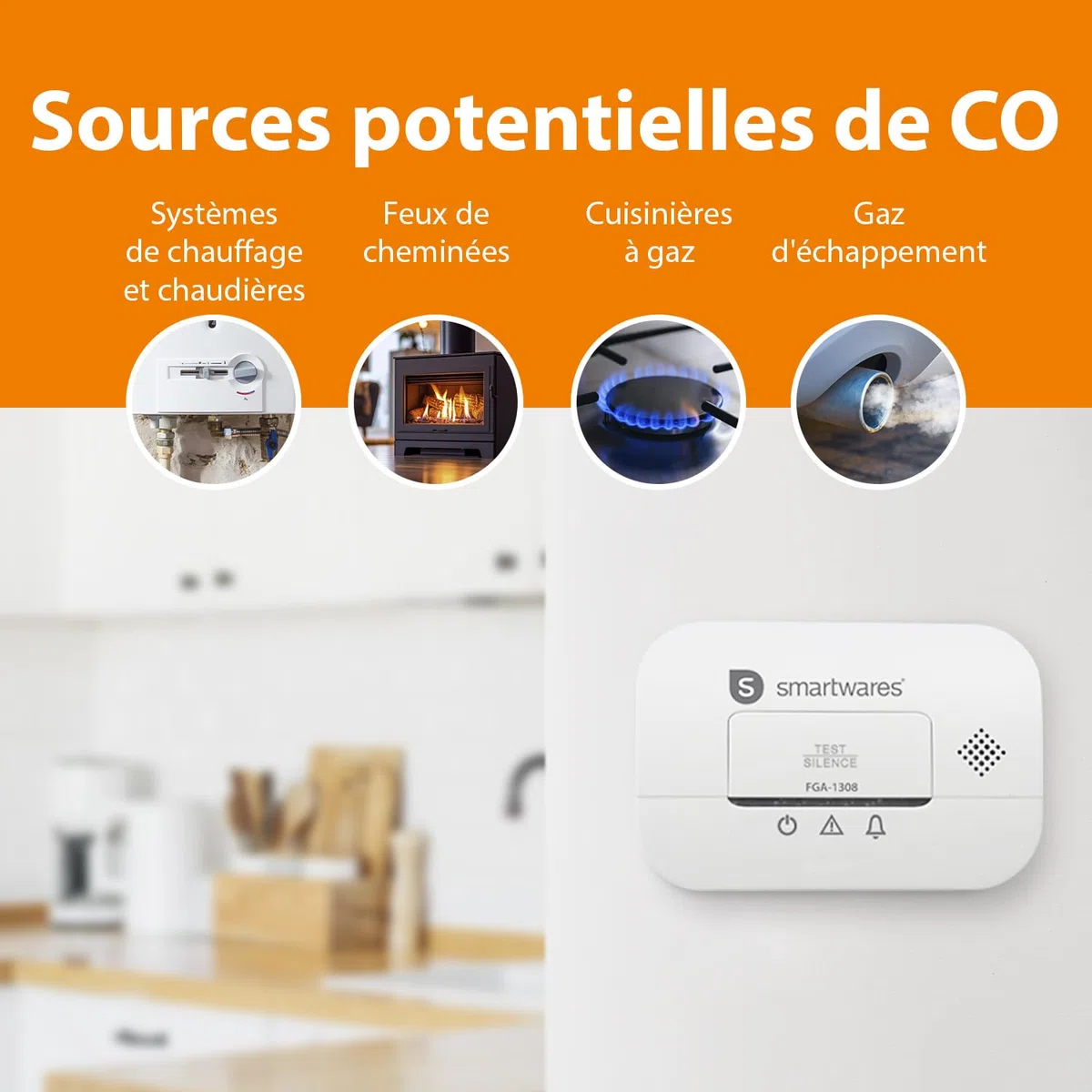 Smartwares Détecteur de monoxyde de Carbone - Certifié NF - Capteur 10 Ans - Piles 3 Ans - avec voyants Lumineux et Bouton de Test - FGA-13081FR
