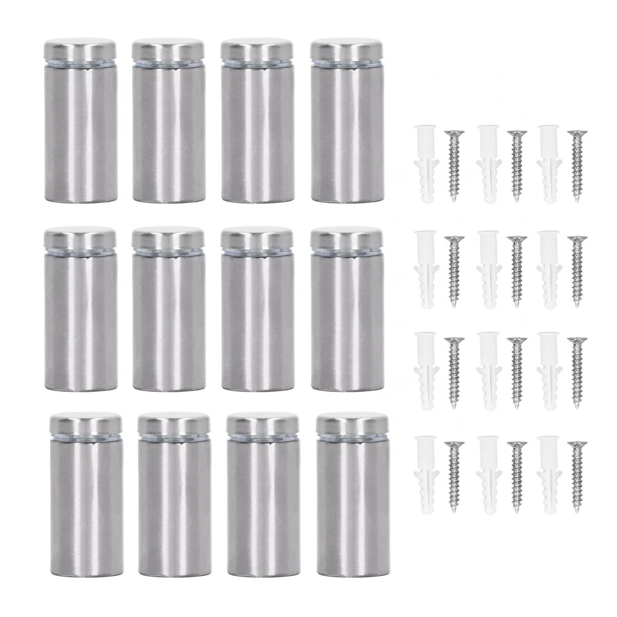 Entretoises Murales en Acier Inoxydable, 12 Pièces, 19x40mm, Kit de Vis et Chevilles pour Panneau Acrylique, Supports d'Affichage Publicitaire