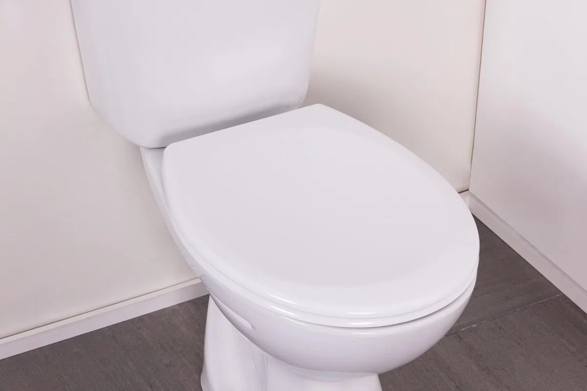 Abattant WC blanc universel clipsable/nettoyage facile - lunette de toilettes frein de chute forme O NOYON & THIEBAULT