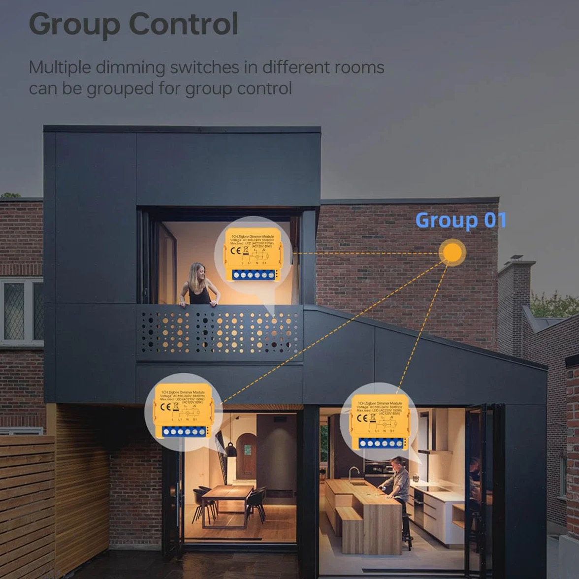 Module de variateur intelligent 150 W Module de variateur LED intelligent Zigbee 1 gang 2 voies WiFi intelligent Alexa compatibles avec les LED