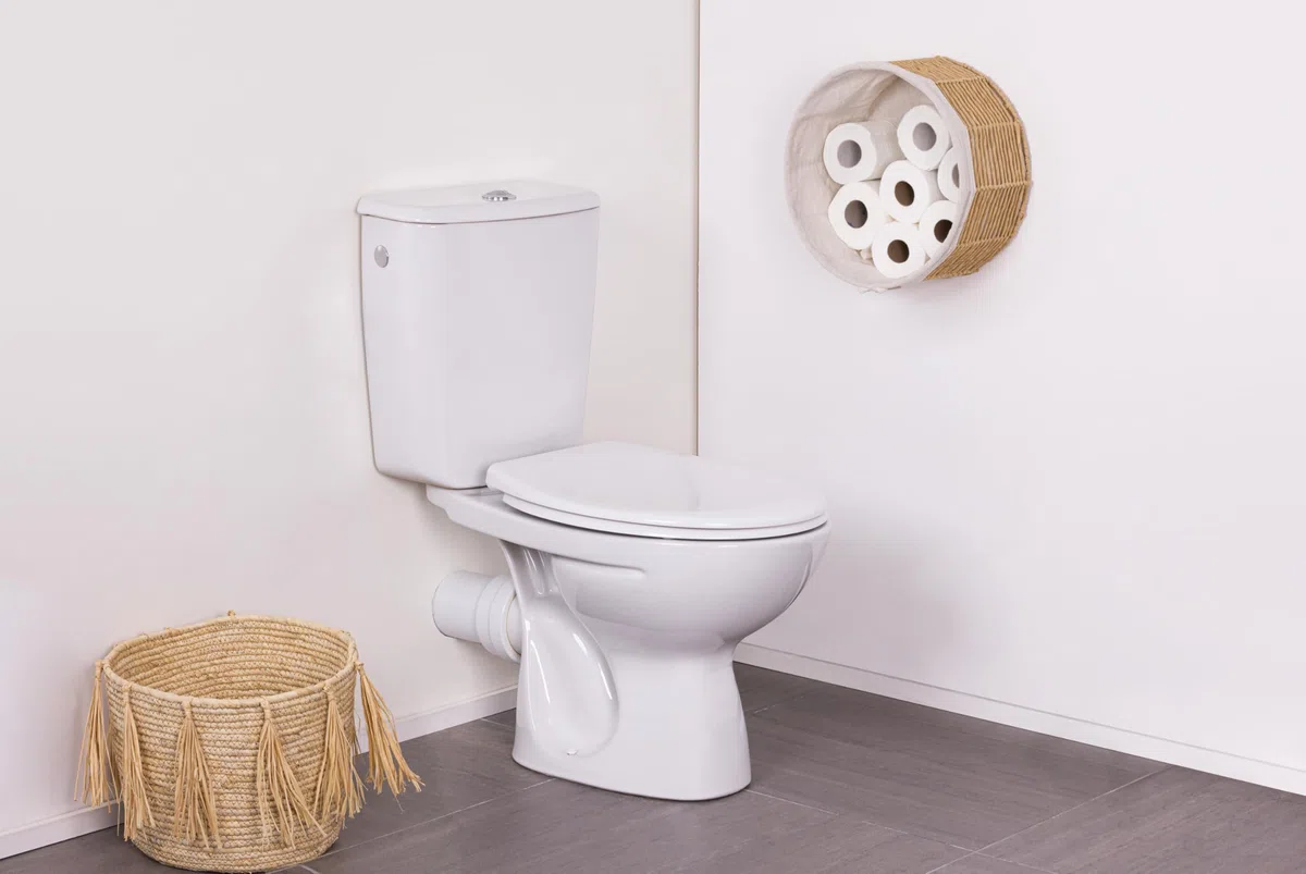 Abattant WC blanc universel clipsable/nettoyage facile - lunette de toilettes frein de chute forme O NOYON & THIEBAULT