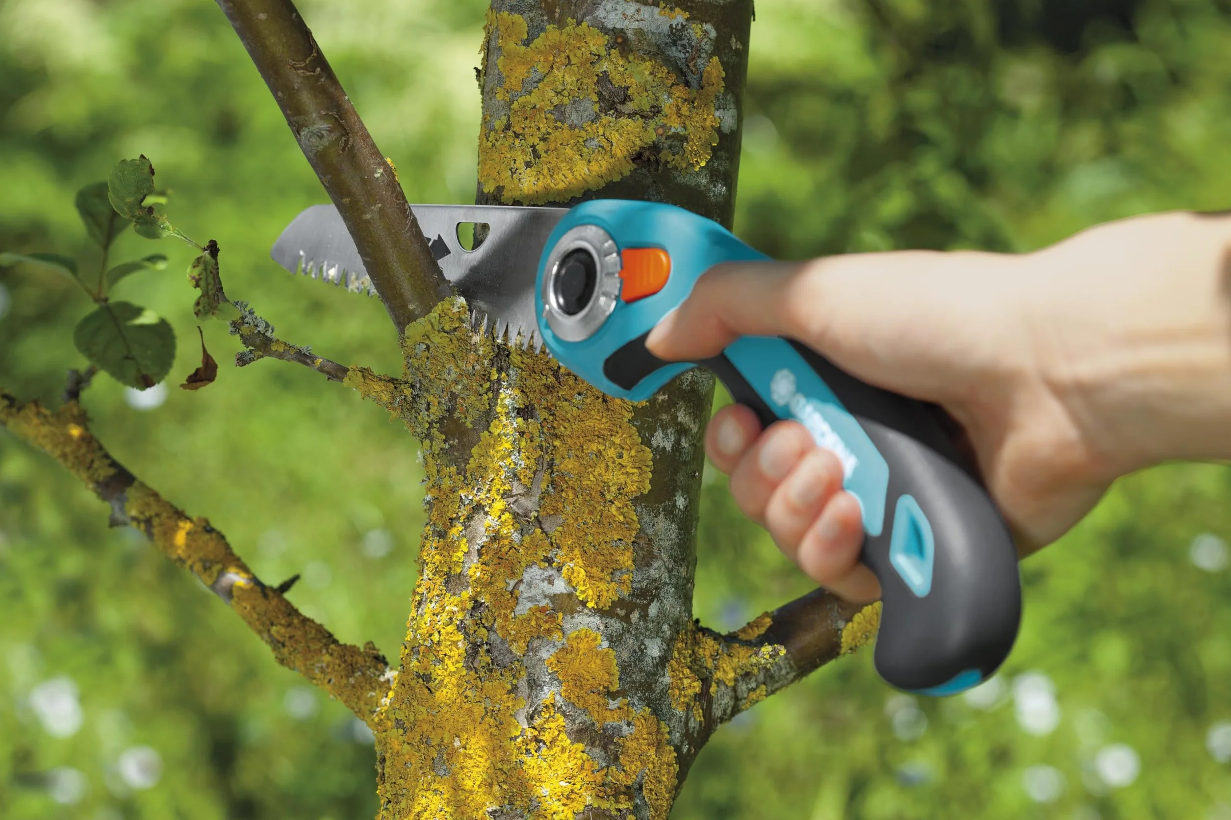 Gardena Scie xe0 xe9laguer repliable 135 P : scie pratique en acier xe0 ressort de qualitxe9, excellentes performances, coupe prxe9cise, forme de poignxe9e coudxe9e (8742-20)