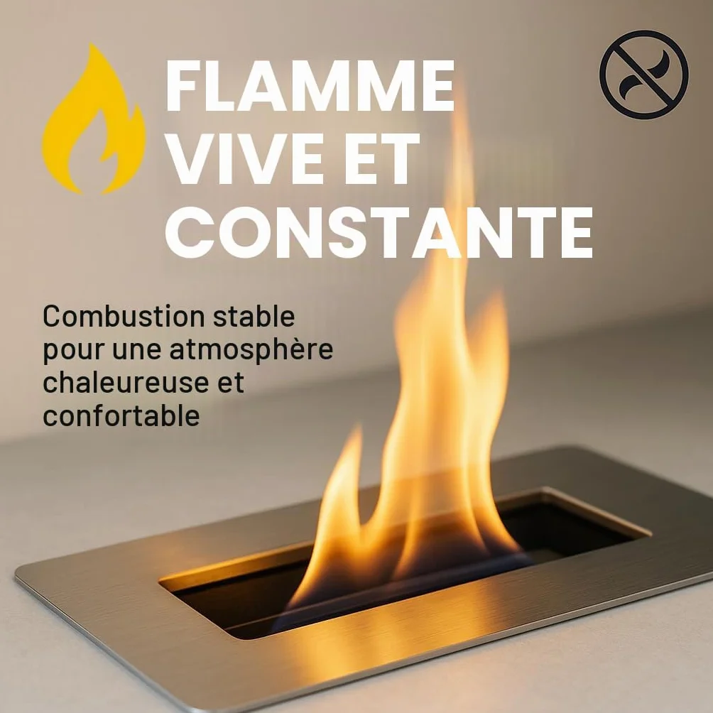 GiDeli Bioéthanol 96,6 % inodore 6 x 1 l – Bio éthanol pour cheminée de table, cheminée intérieure et extérieure – Sans fumée et sans suie – Fabriqué à partir de maïs et de betterave à sucre