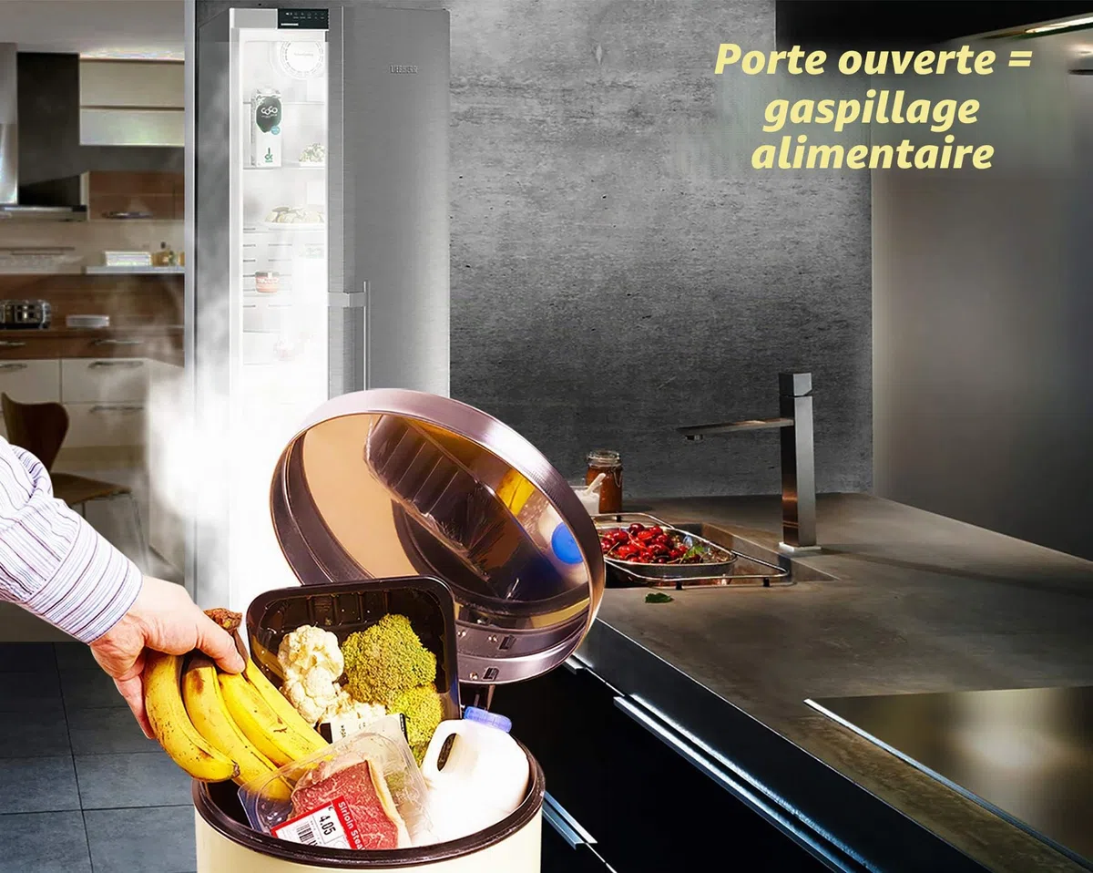 Mini Alarme de Porte congélateur et réfrigérateur, Alertes avec délai incrémental à 60, 120 et 180 Secondes, Carillon ou Sirène 80 à 110 DB, Alarme de Porte Ouverte. (Gris)